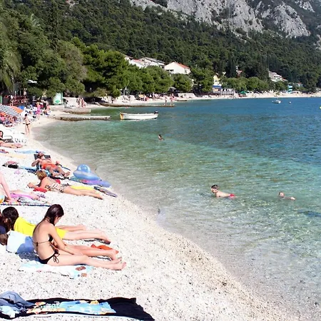 Studio Gradac 5198e * Gradac (Split-Dalmatia)