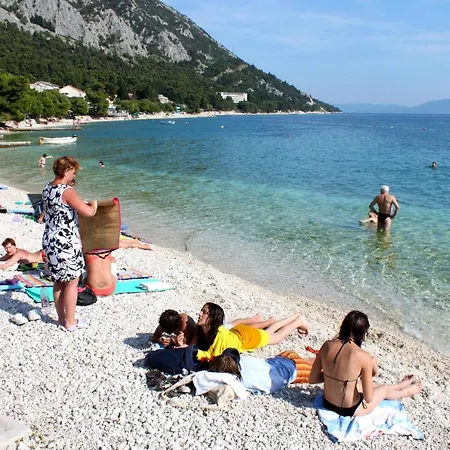 Apartment Studio Gradac 5198e Gradac (Split-Dalmatia)